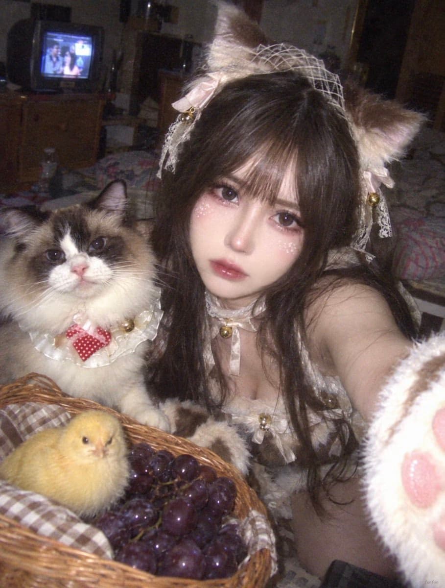 布偶猫Cosplayer复古手机自拍